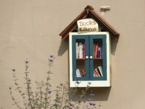 Come scegliere un libro da leggere dagli scaffali di questa graziosa teca?